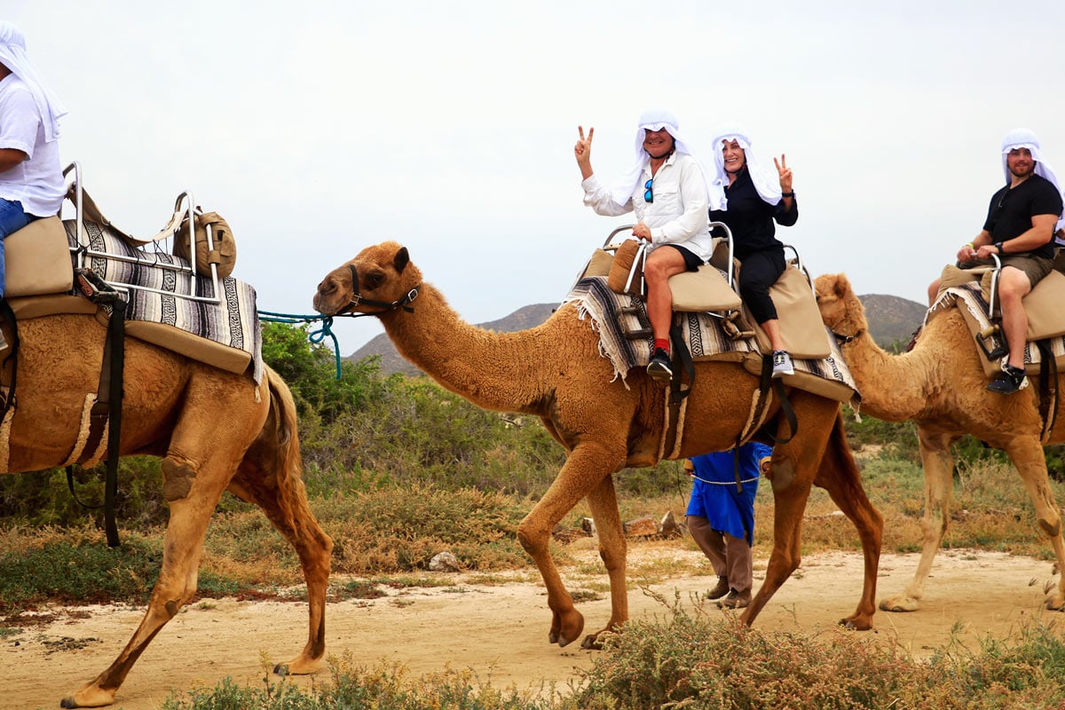 Couple riding a dromedary camel in Los Cabos