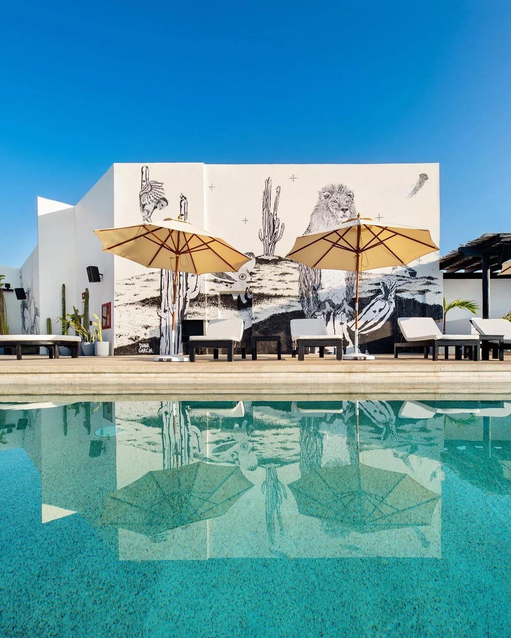 The boutique Hotel El Ganzo has a very cool rooftop pool.
