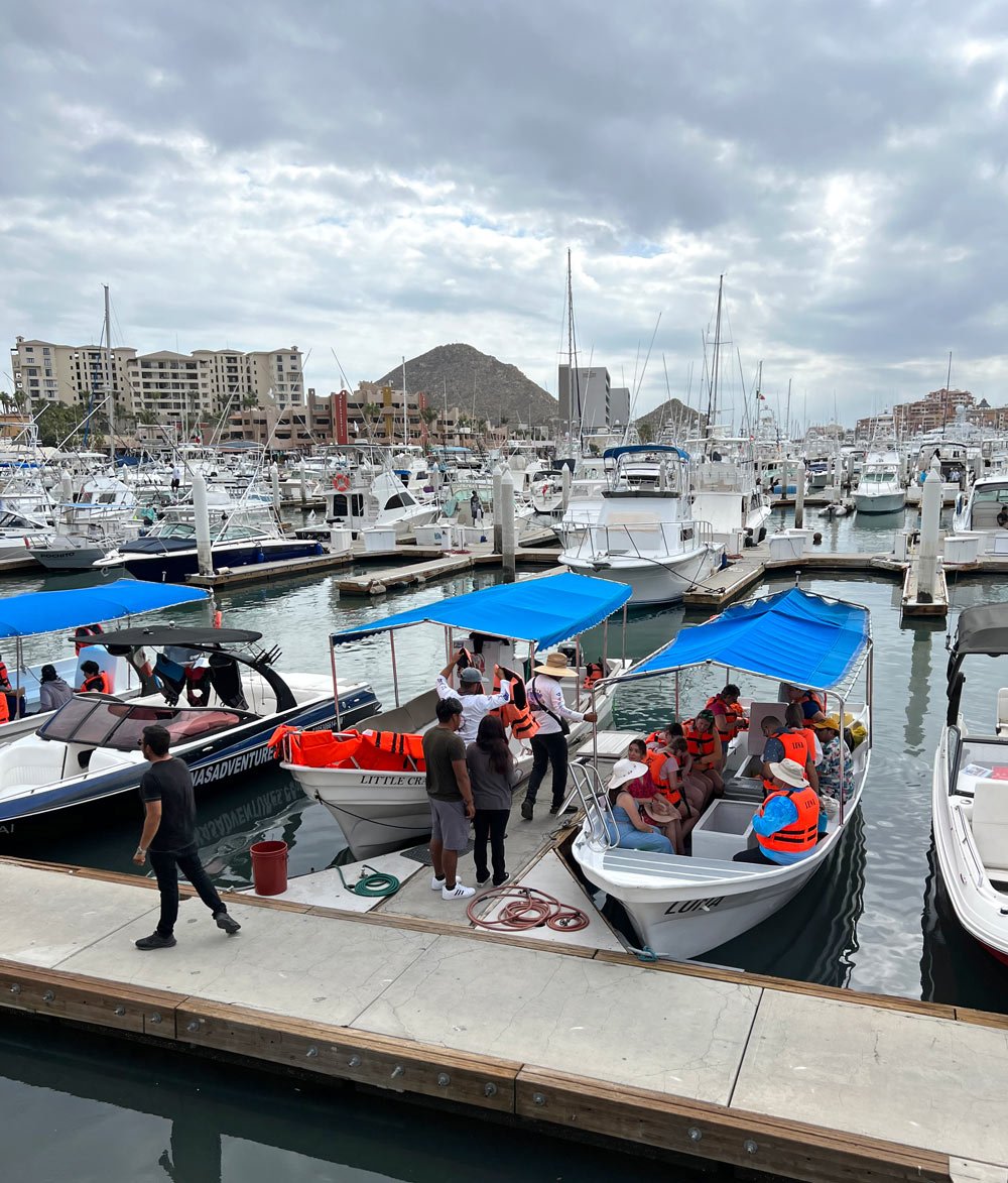 Water taxi boats in the Cabo San Lucas Marina