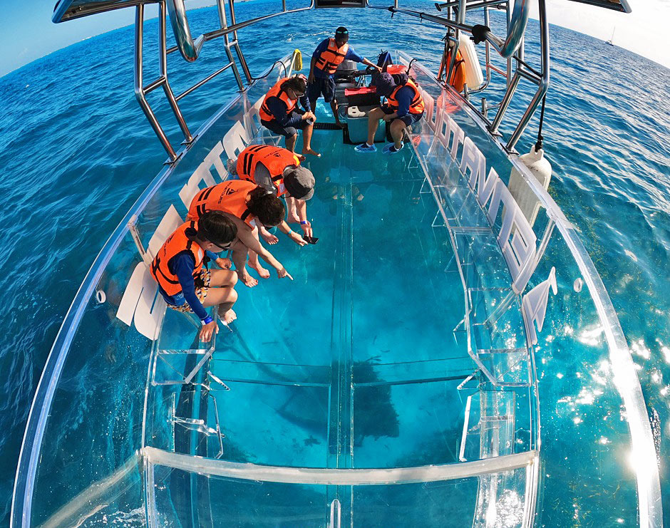 People look through a clear glass-bottom boat in Cabo San Lucas, Mexico.