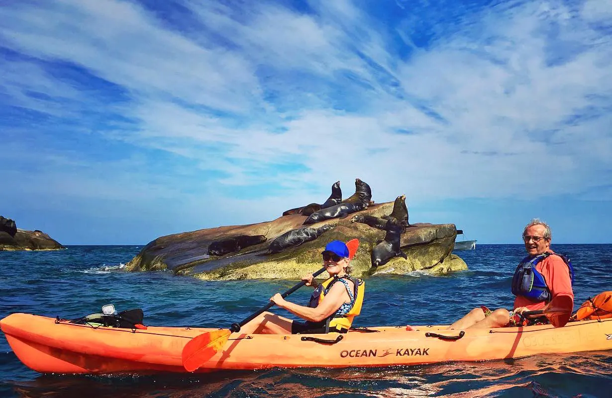 Kayaking past sea lions in Cabo Pulmo