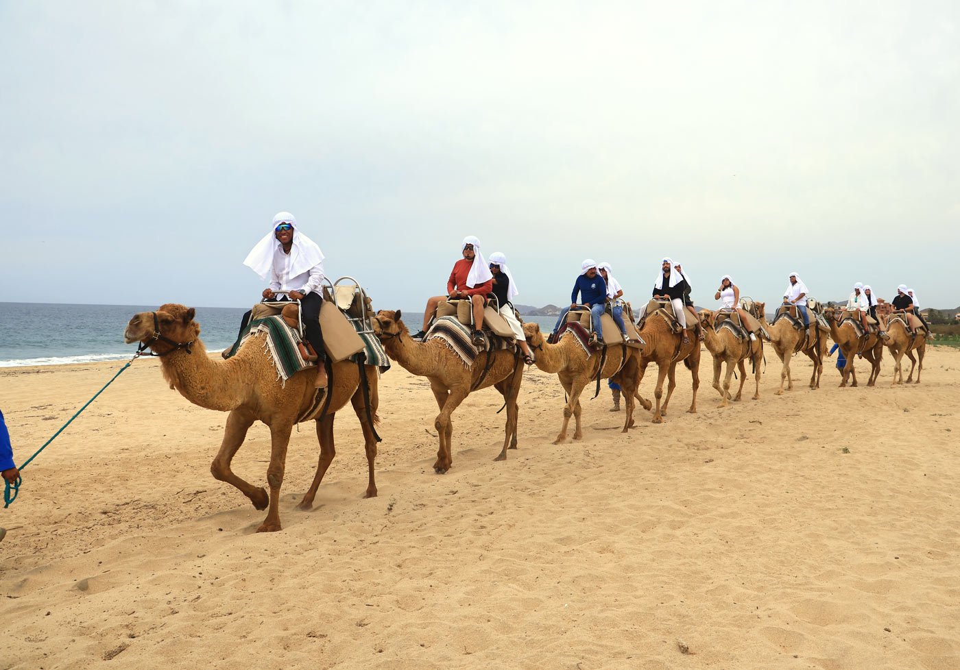 Camel riding in Cabo San Lucas