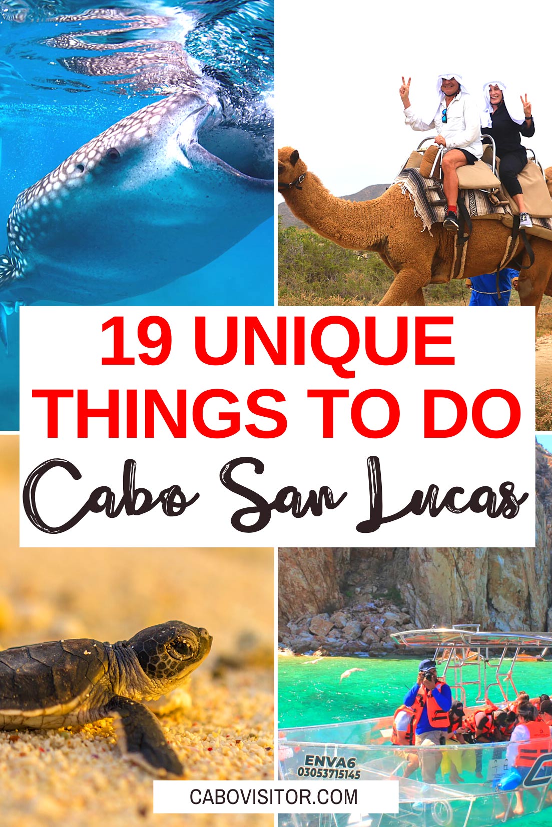 Unique things to do in Cabo San Lucas