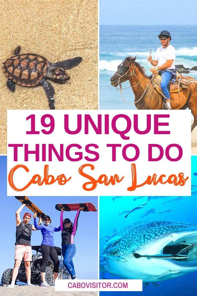 Unique things to do in Cabo San Lucas