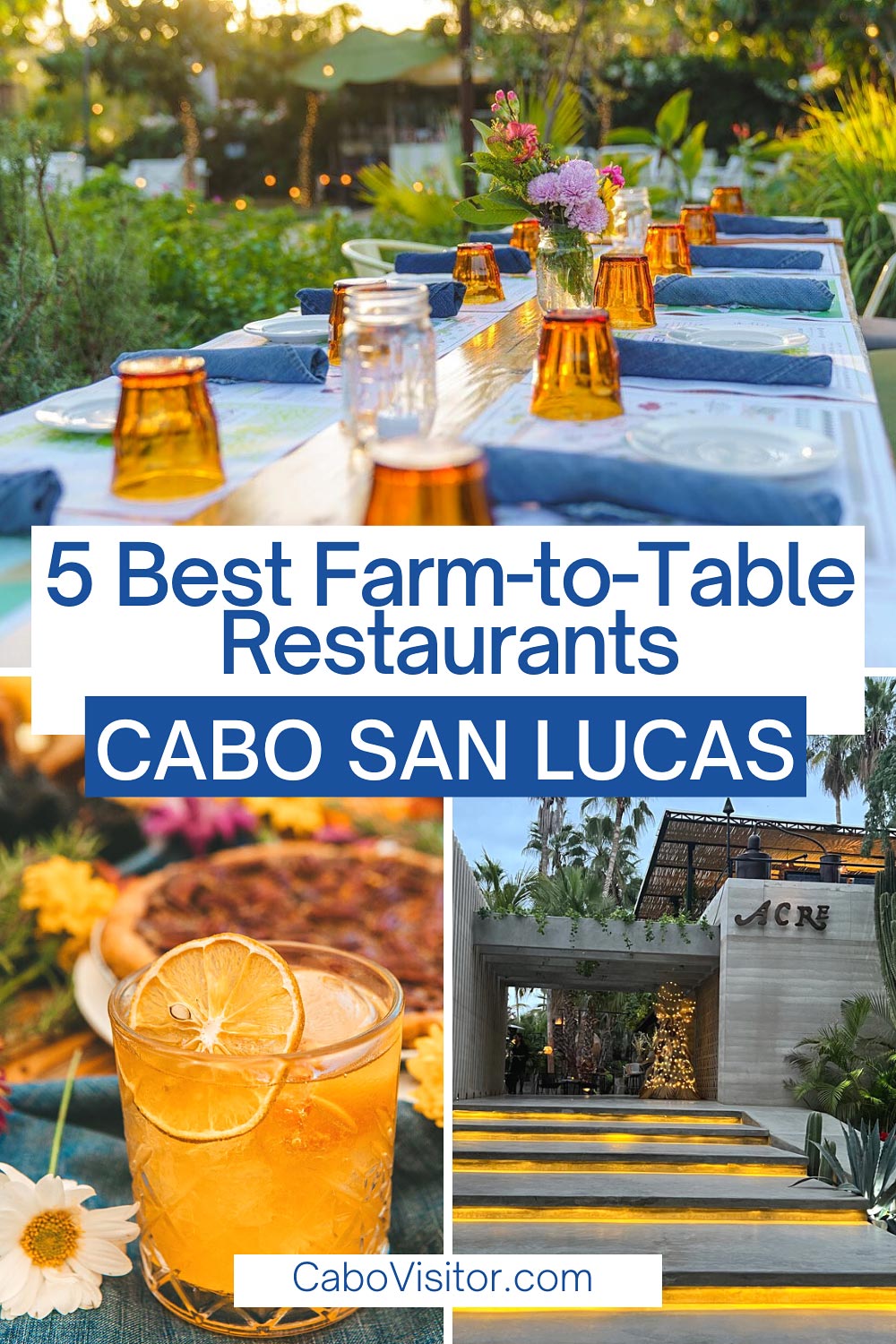 Cabo farm-to-table restaurants, Mexico