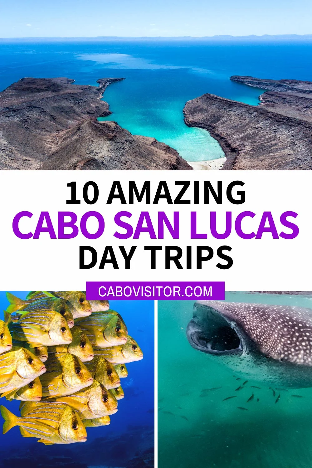 Cabo day trips