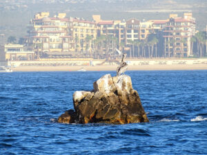 Cabo San Lucas vs. San Jose del Cabo: Which is Better? – Cabo Visitor