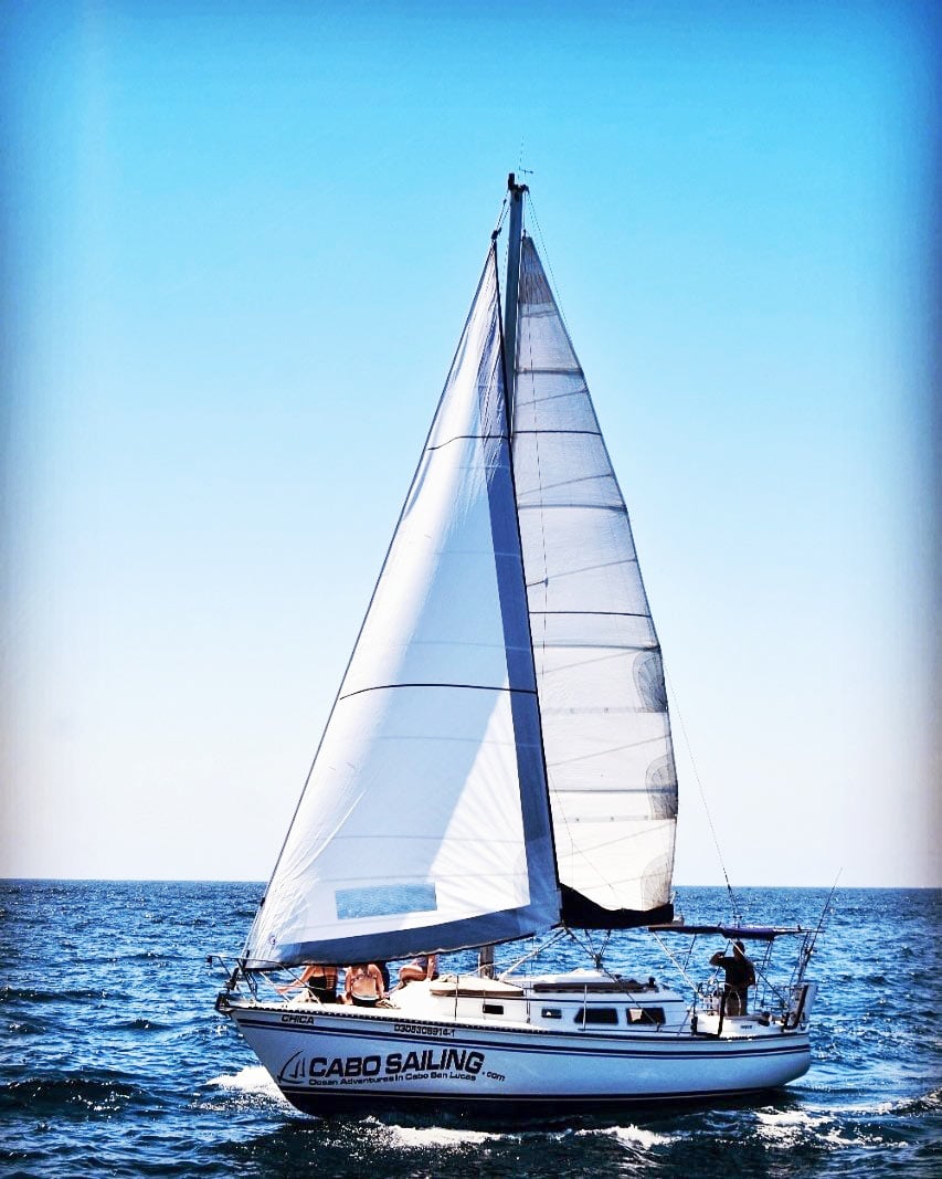 Cabo Sailing sailboat