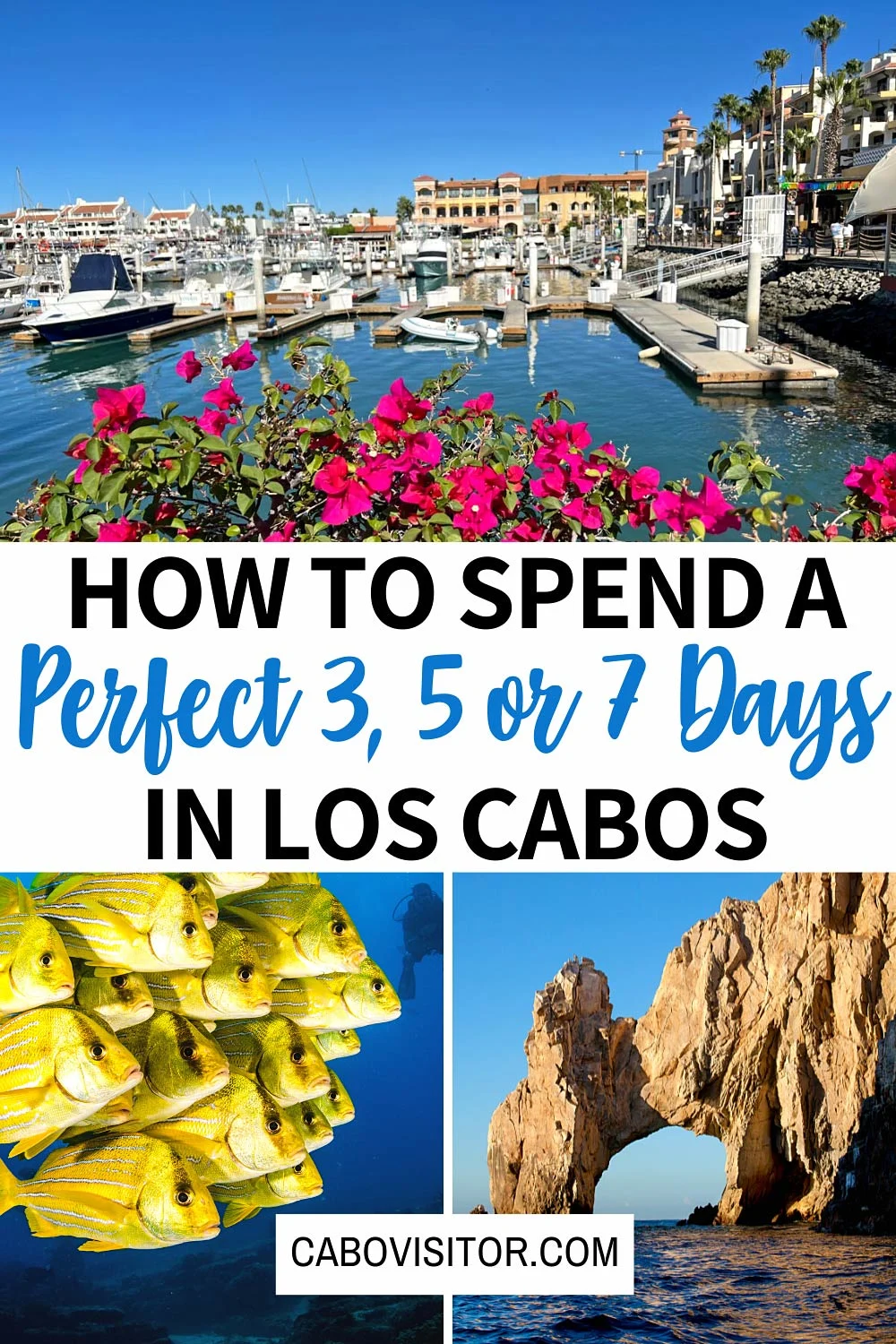 The perfect Cabo itinerary for 3, 5 or 7 days in Cabo San Lucas