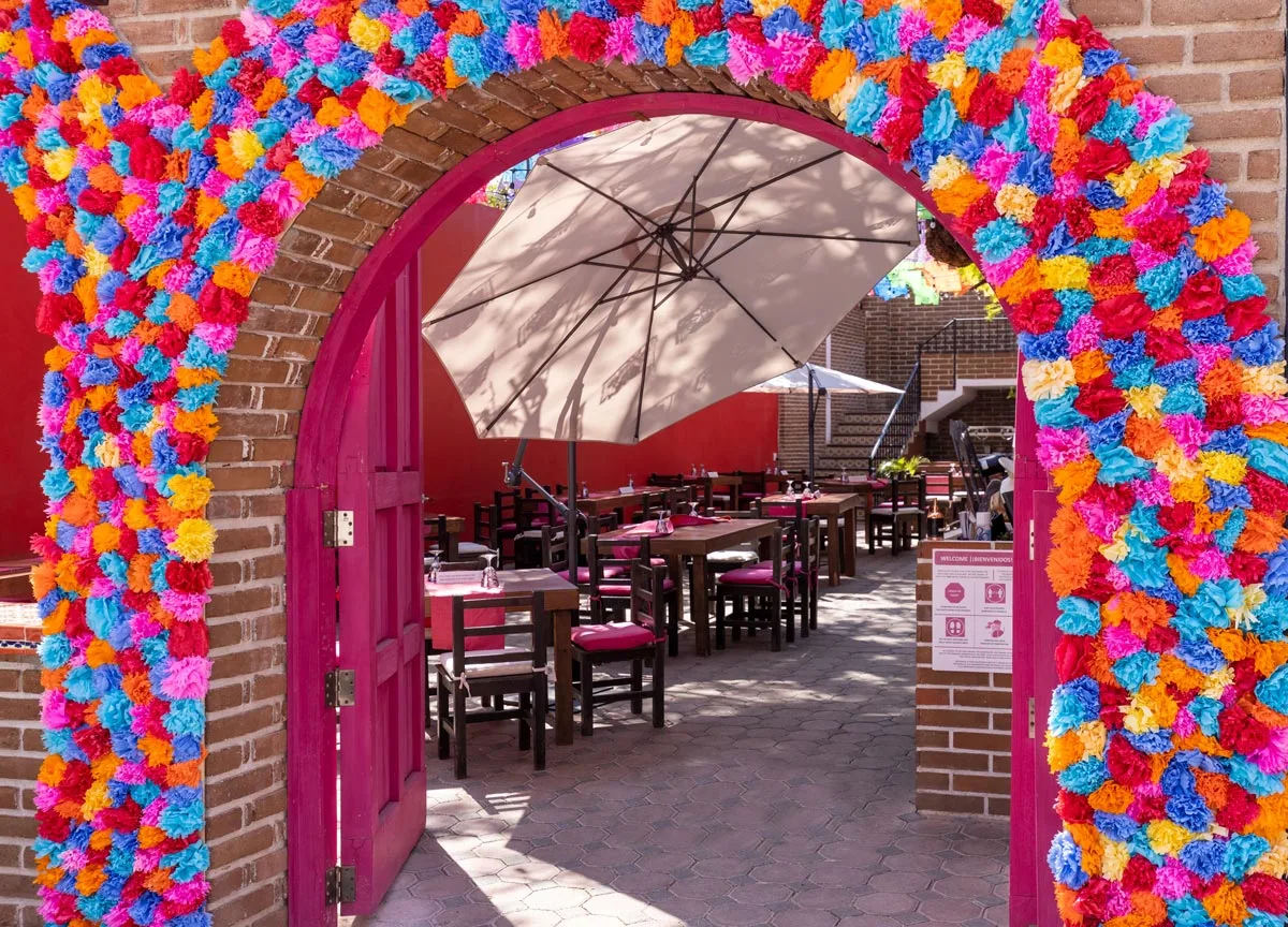 A restaurant with pink chairs in a pretty courtyard in San Jose del Cabo