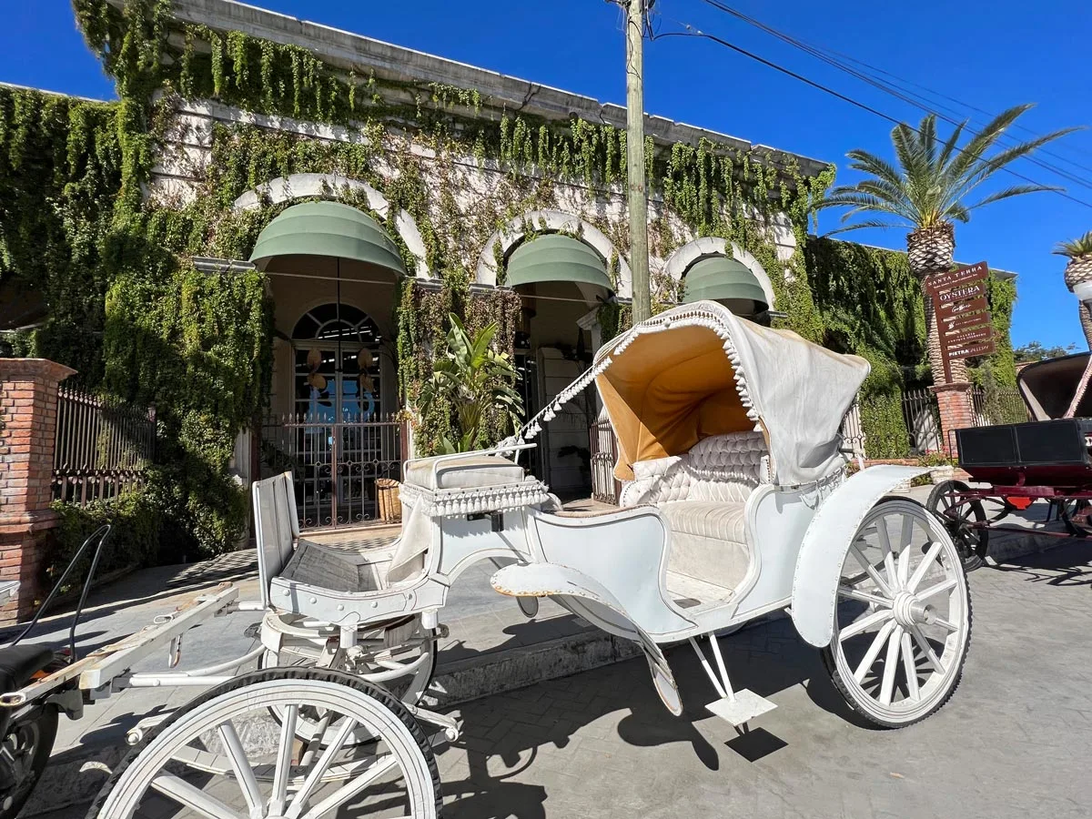 White carriage in front of historic ivy-clad building in Todos Santos, Mexico