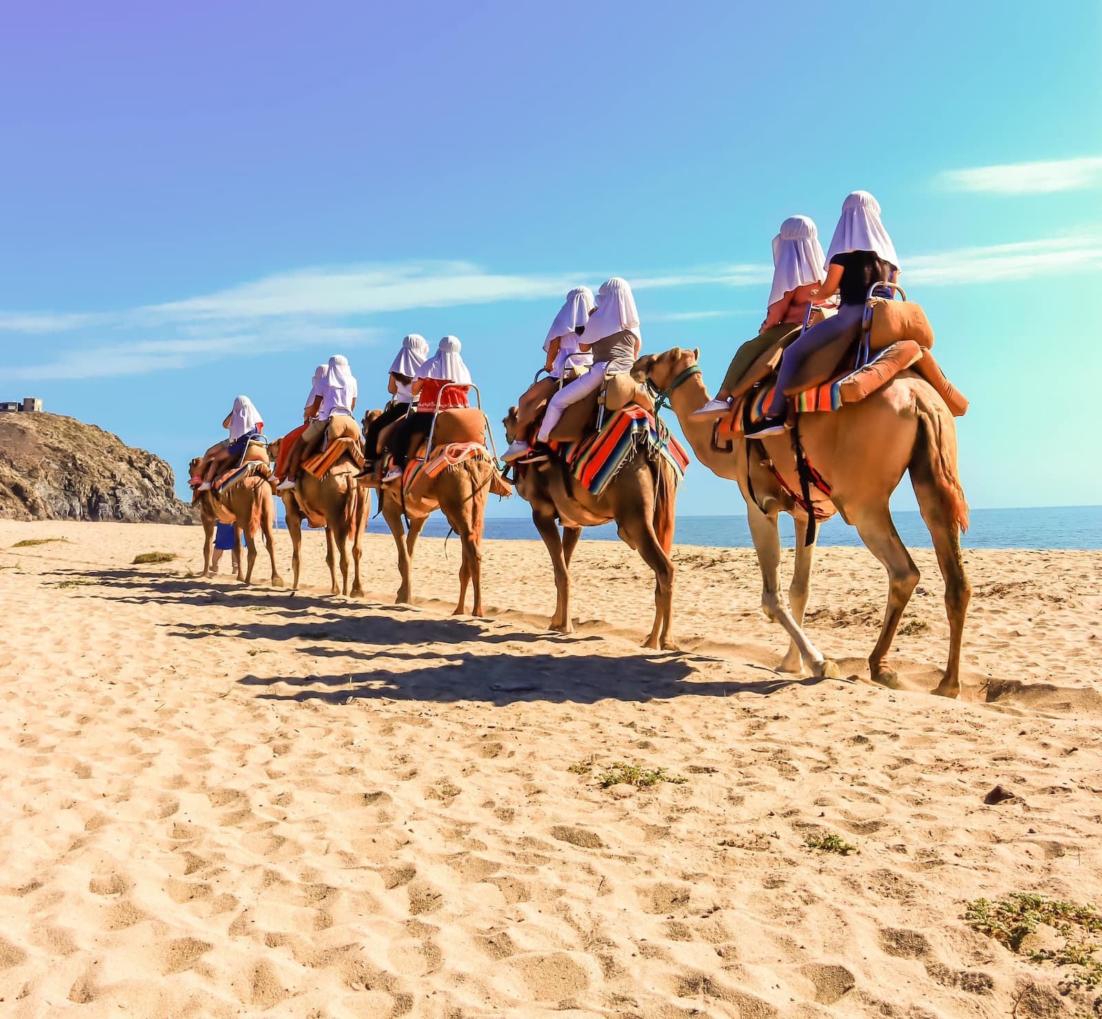 Camel ride in Cabo San Lucas