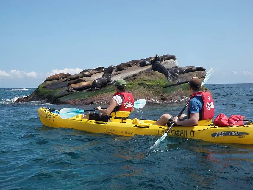 Sea kayaking in Cabo Pulmo past sea lions