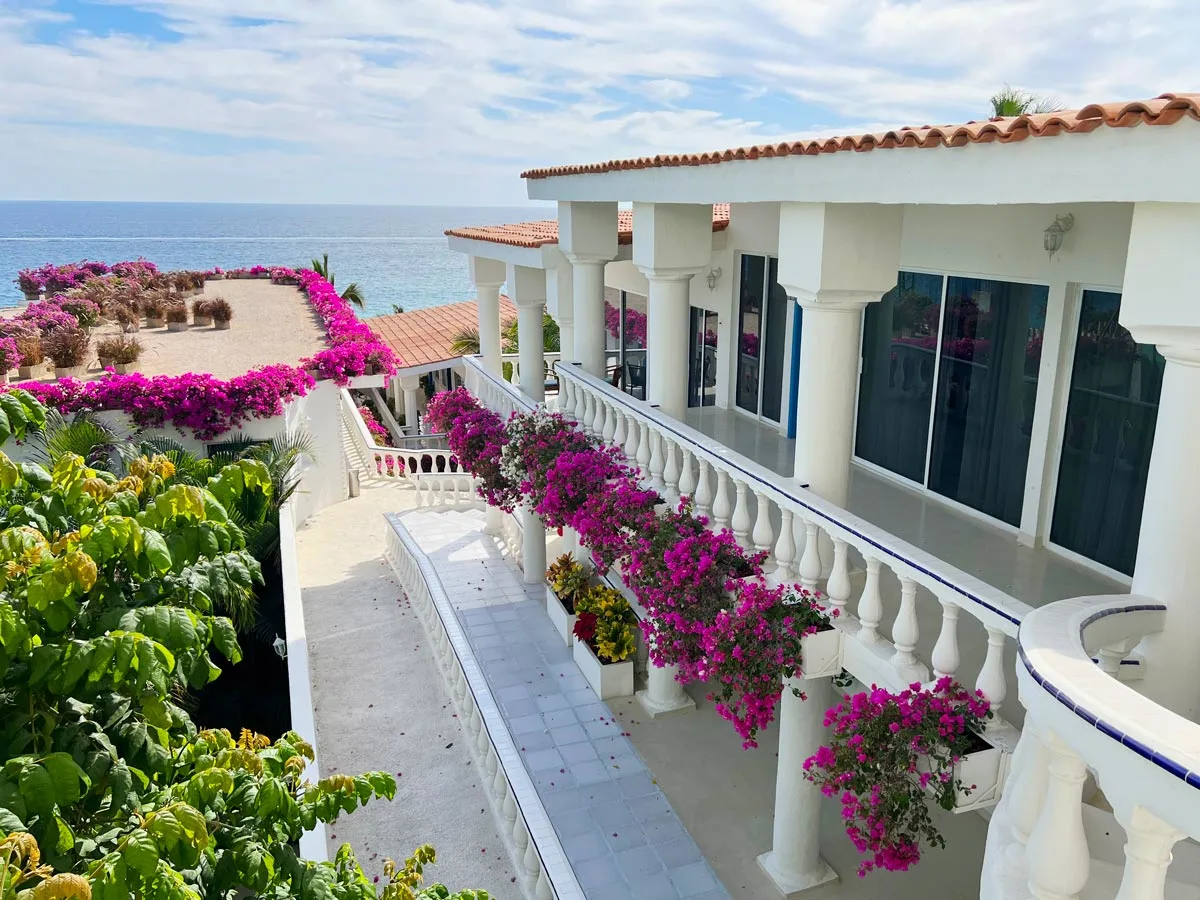 With lots of Mexican charm and pink bougainvillea, Mar del Cabo is one of our favorite boutique hotels in Los Cabos!
