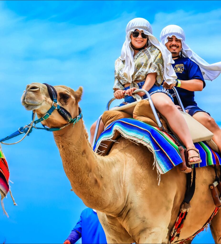 Camel safari and tequila tasting in Cabo San Lucas