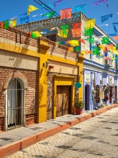 Best Things to Do in Todos Santos, Mexico