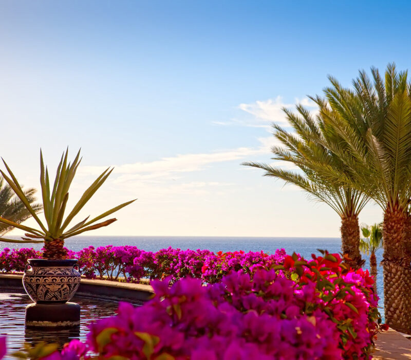10 Amazing Cabo Adults-Only All-Inclusive Resorts