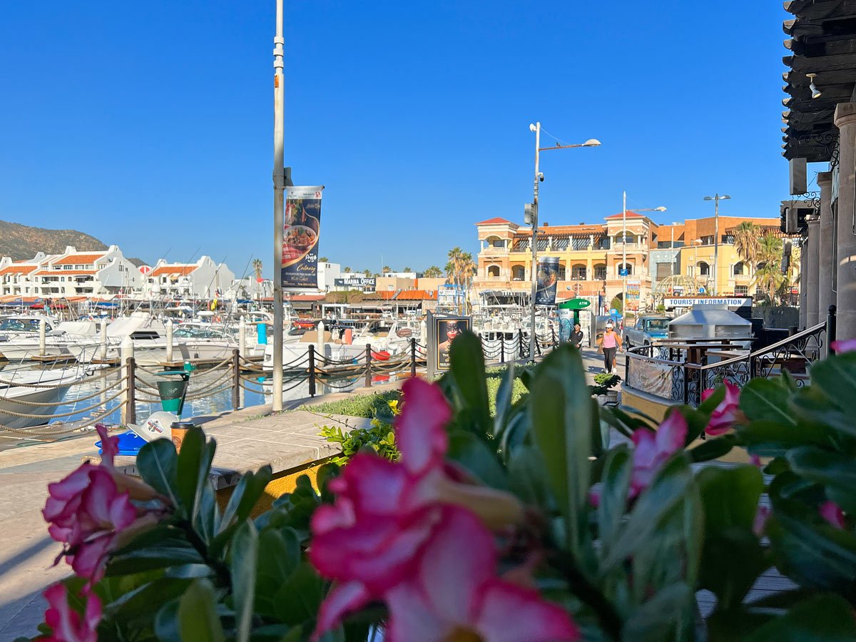 Visiting Cabo in February