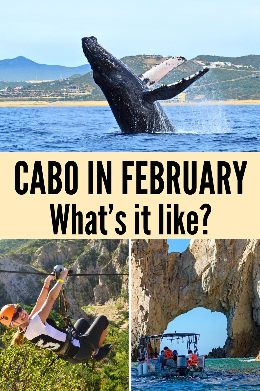 Cabo in February: What's it Like? February is dry and warm (sometimes hot!), and the pretty perfect weather makes February a great month for outdoor activities in Los Cabos. Here's our guide to the weather in February in Cabo, plus the best things to do in Cabo this month!