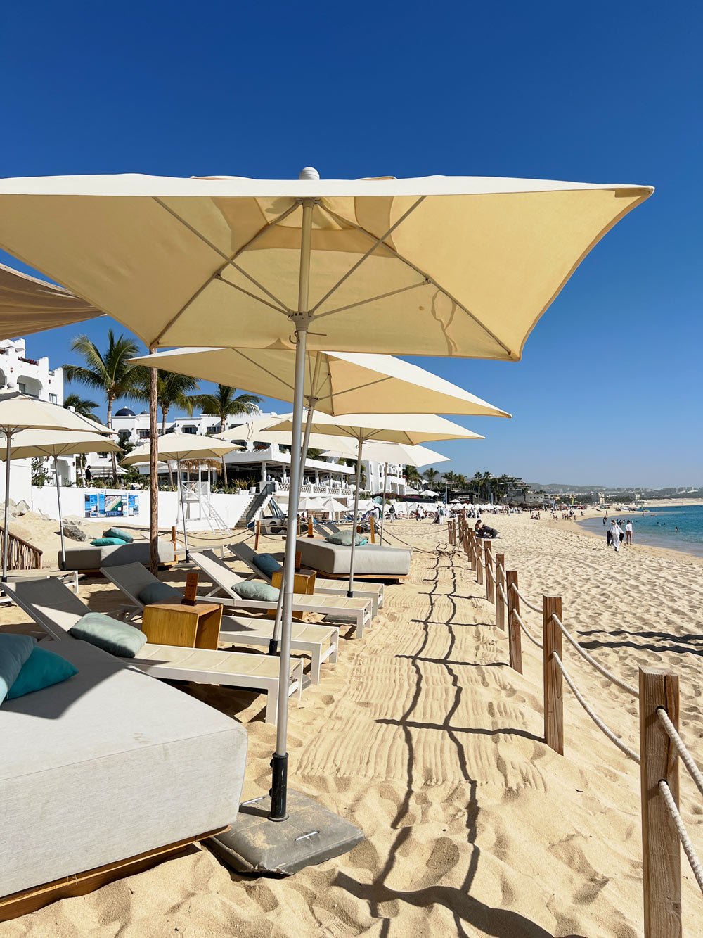 Beach chairs and umbrellas at Tamara Beach Club on Medano Beach