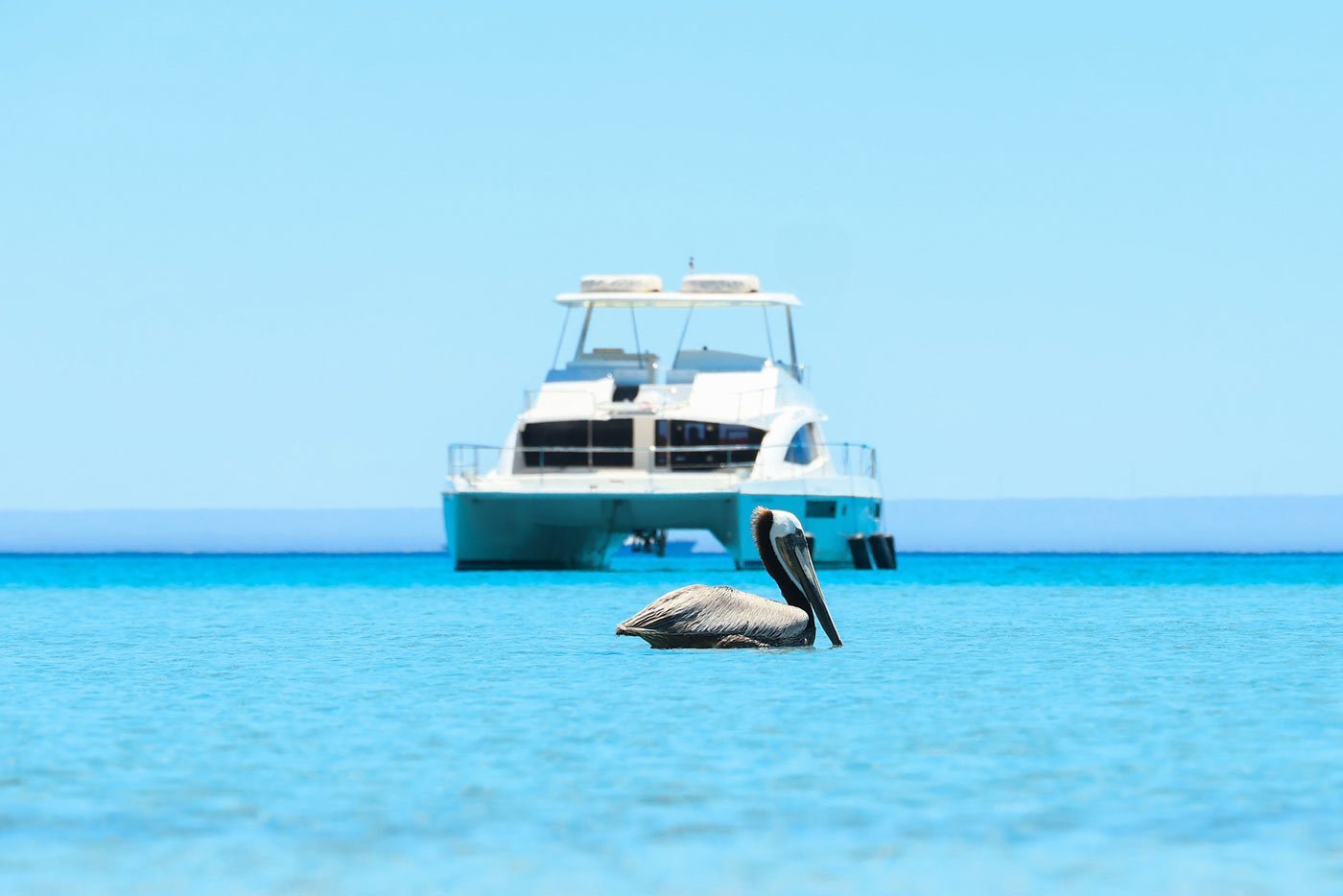 Catamaran in blue waters of Balandra Bay
