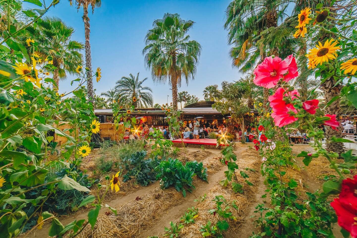 Flora Farms
