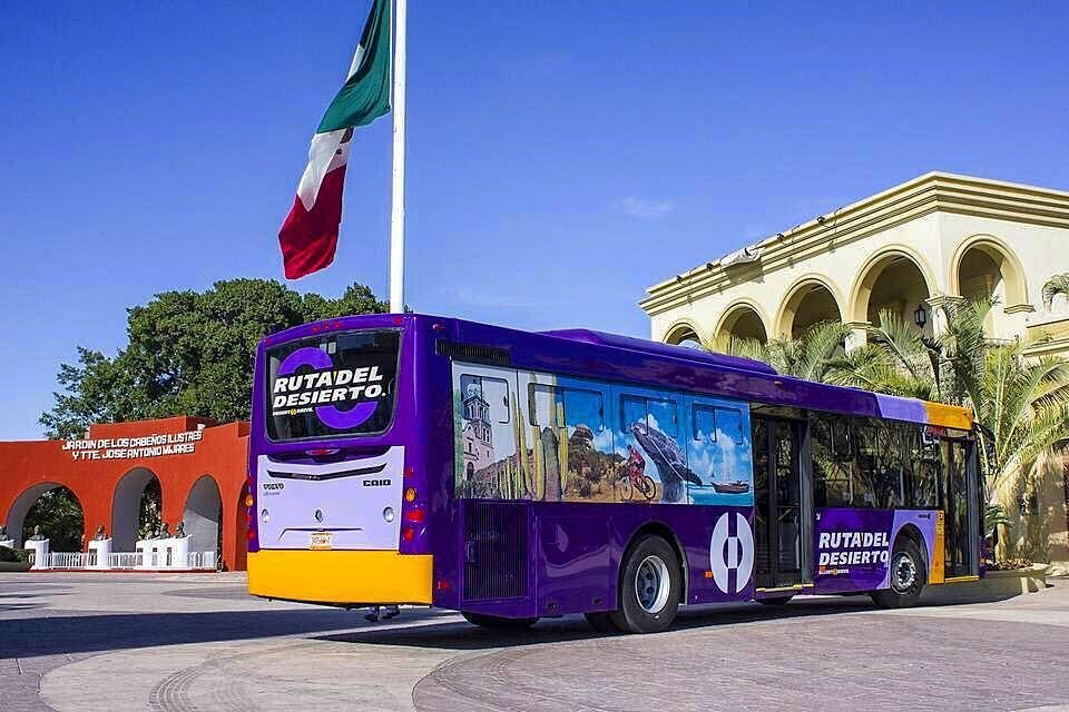 Purple and orange Ruta del Desierto bus in Los Cabos