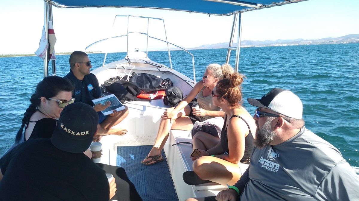 Small whale shark tour boat in La Paz
