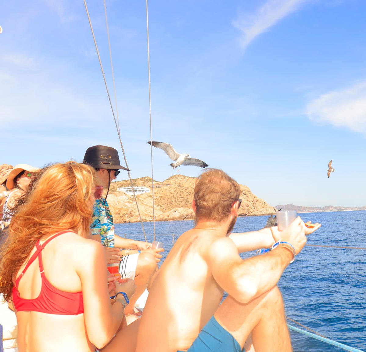 Young people feeding seagulls on a sailboat