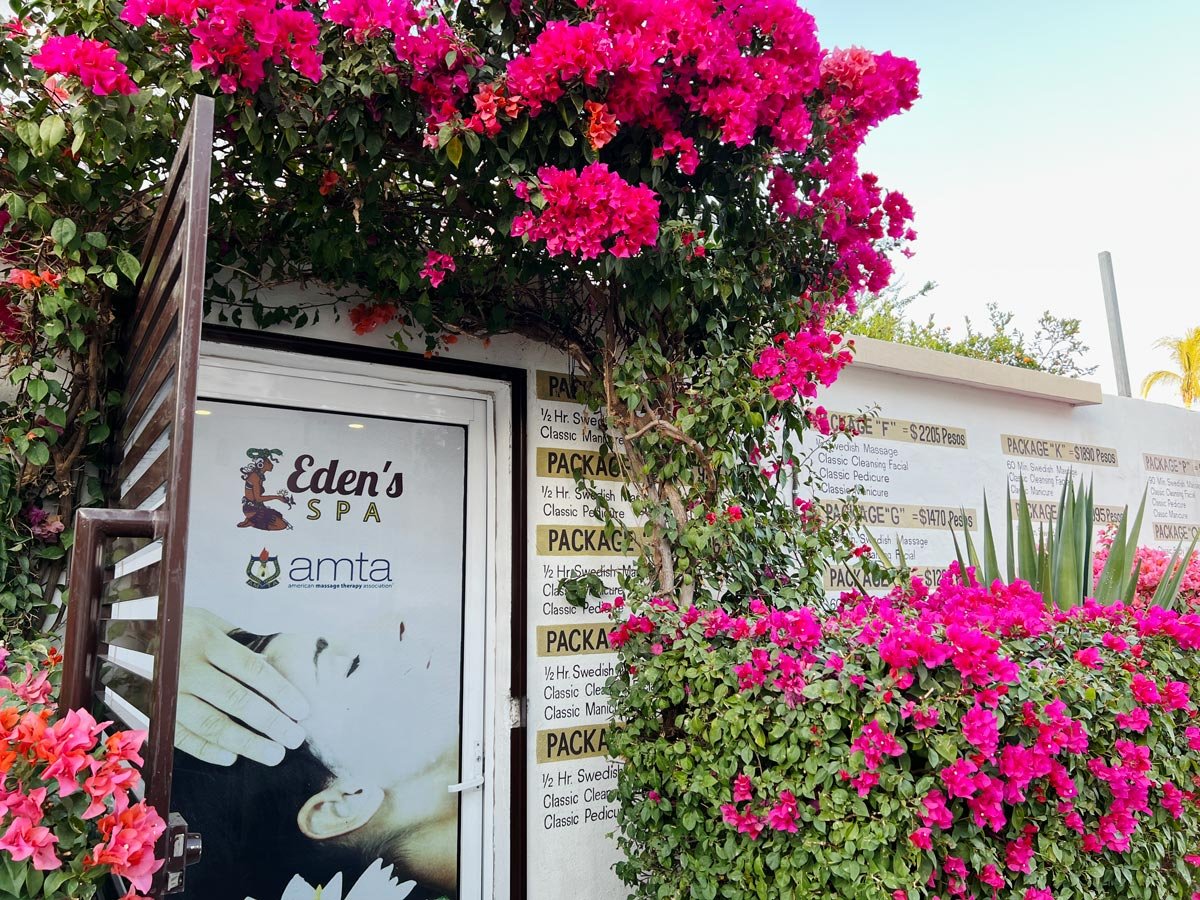 Pink bougainvillea blooms outside of Eden's Spa in Cabo San Lucas.