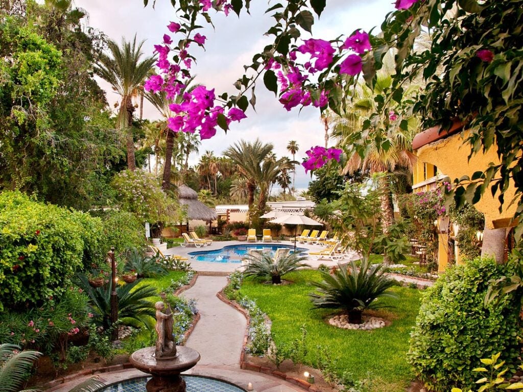 Best boutique hotels in San Jose del Cabo