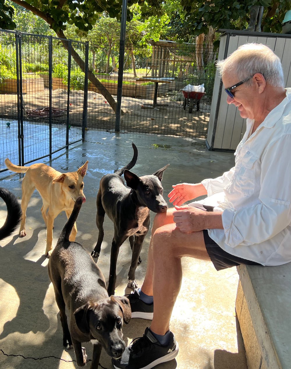 George with rescue dogs at Acre Resort's animal sanctuary