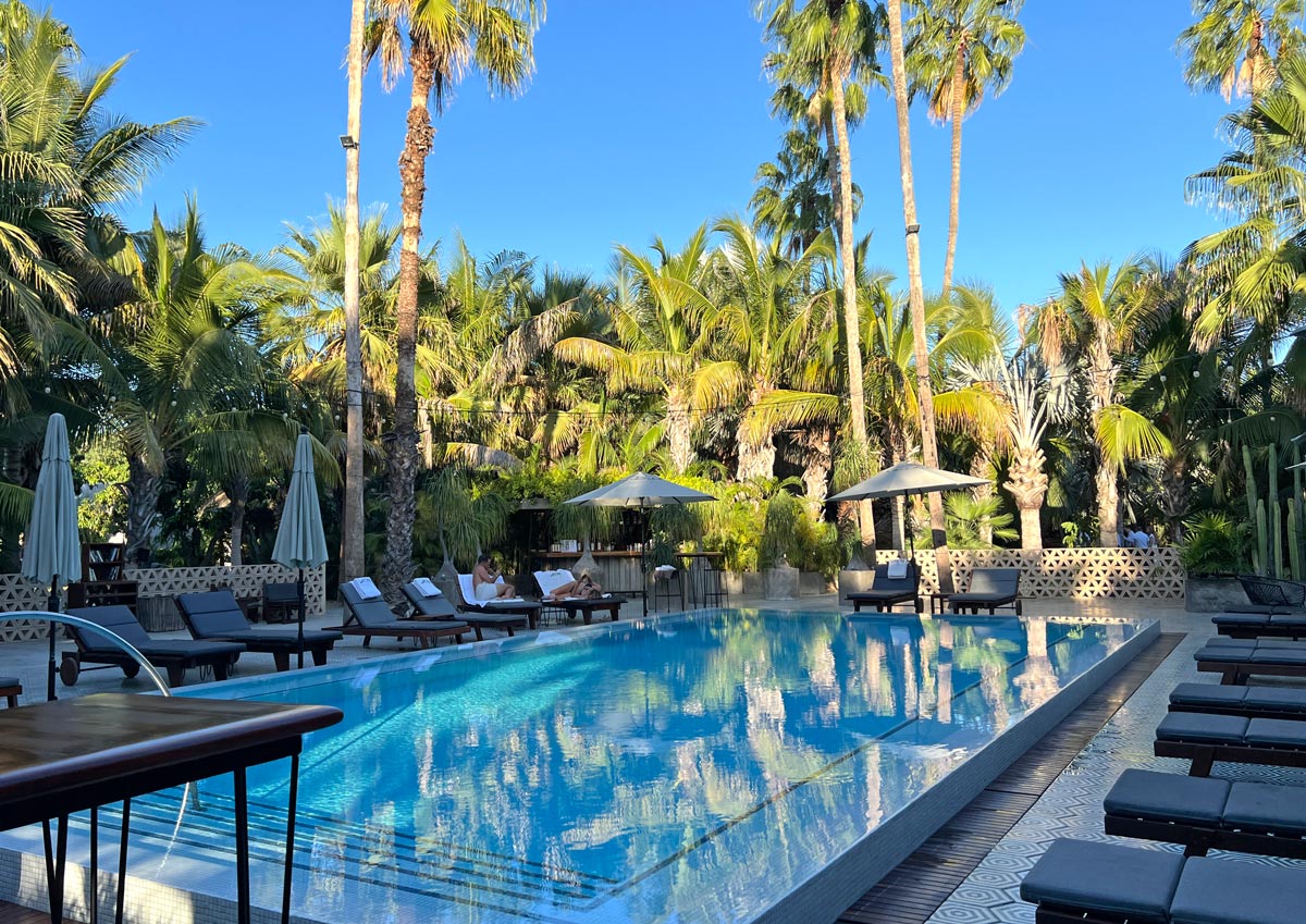 The gorgeous Jungle Pool for treehouse guests