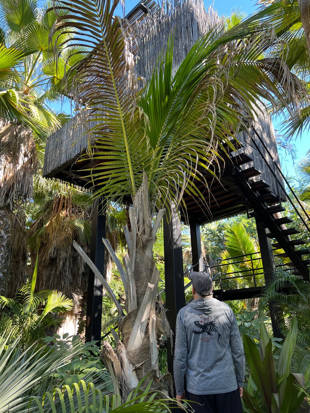 Wooden treehouse on stilts, surrounded by palms, at Acre Resort