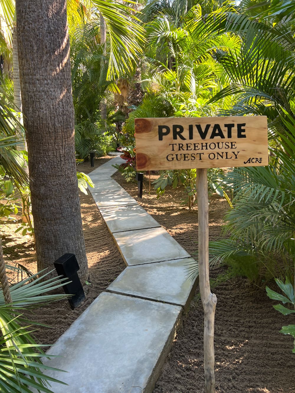 Concrete path through palm trees to our Acre treehouse