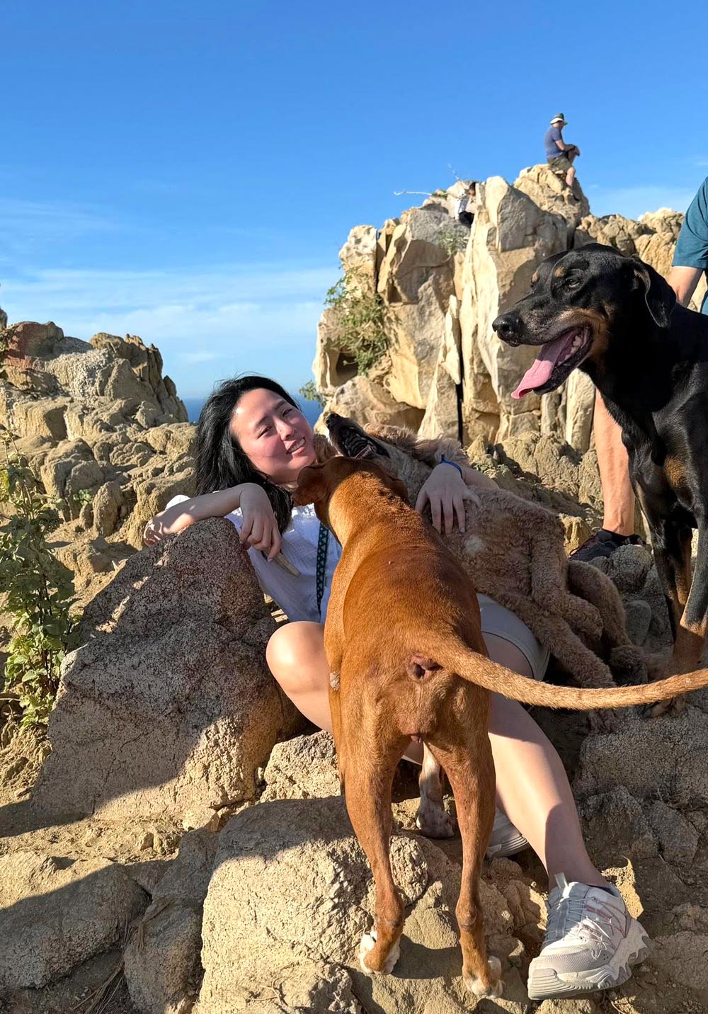 Rescue dog licks woman hiker on Mt. Solmar