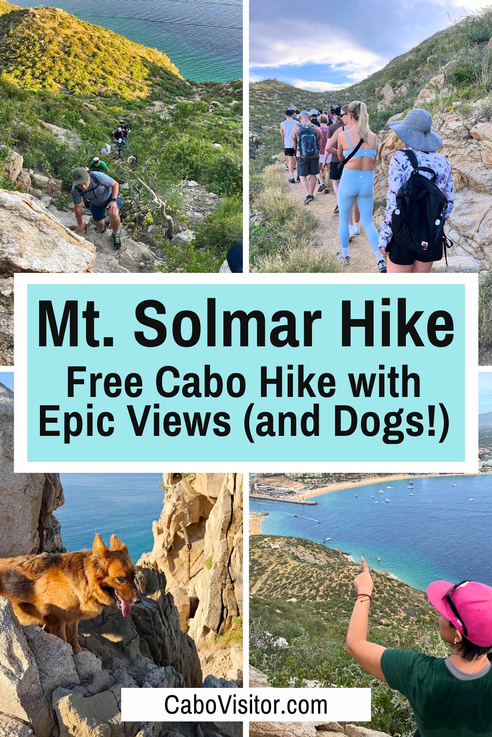 Mt. Solmar hike with dogs