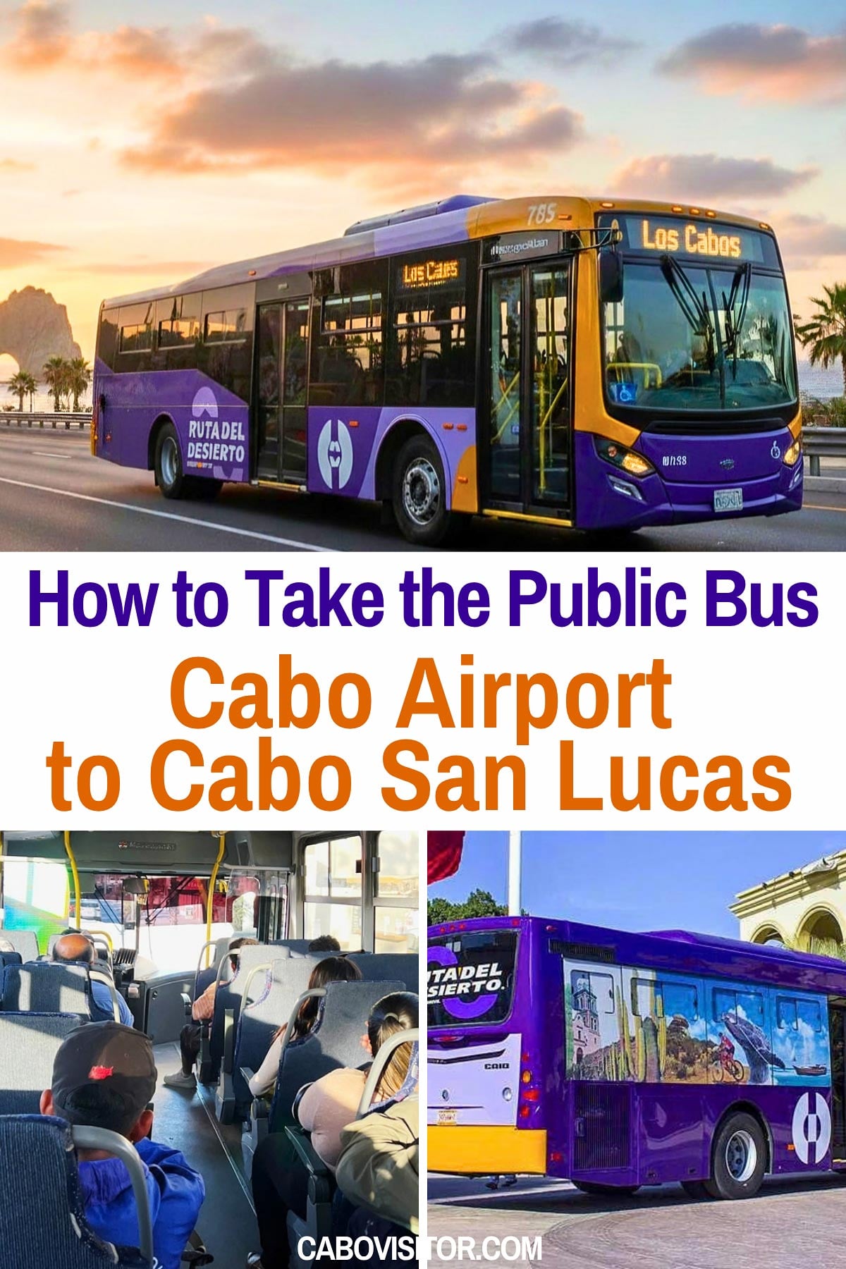 How to take the public bus from Cabo airport to Cabo San Lucas