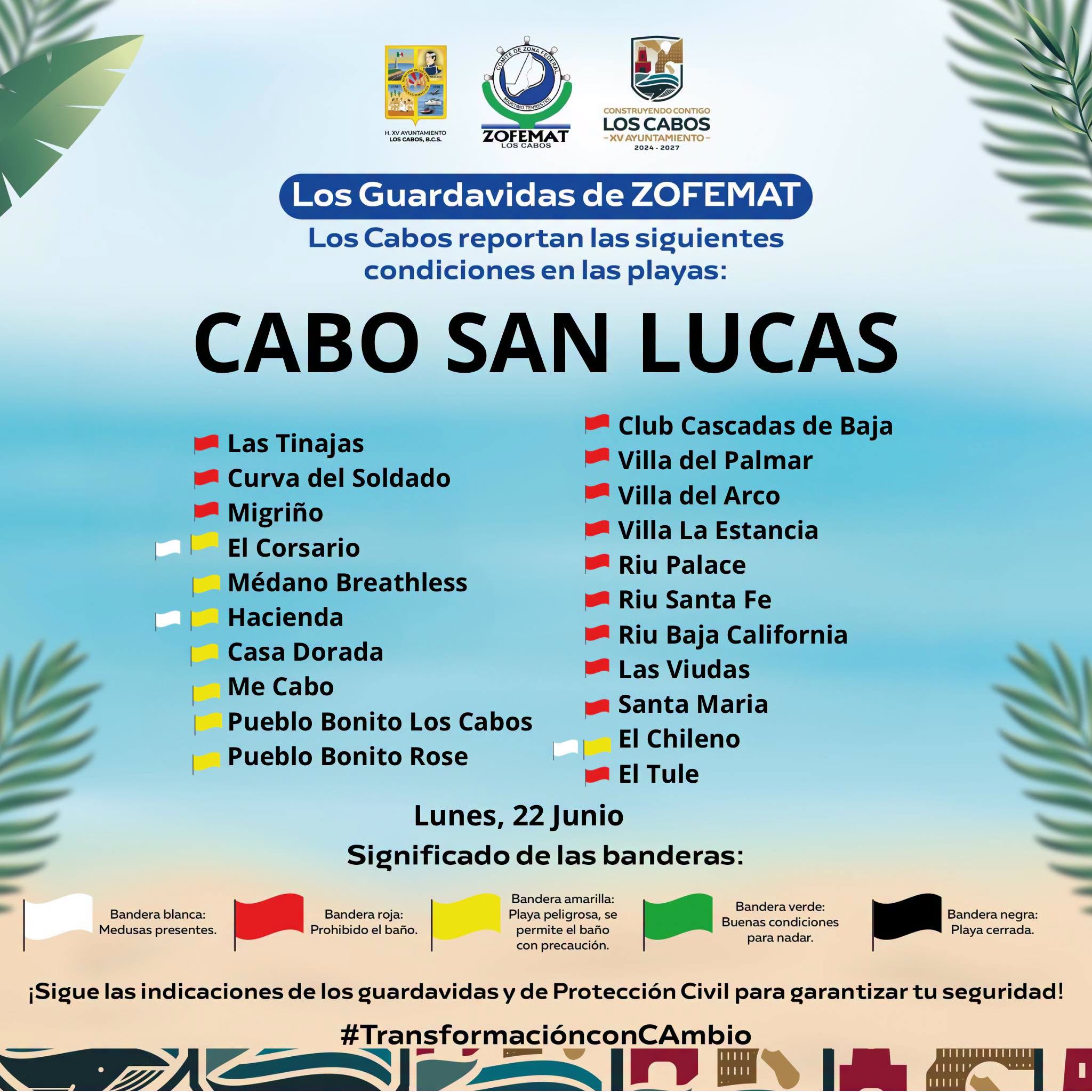ZOFEMAT update showing white flag (jellyfish) warnings for three beaches for a particular day